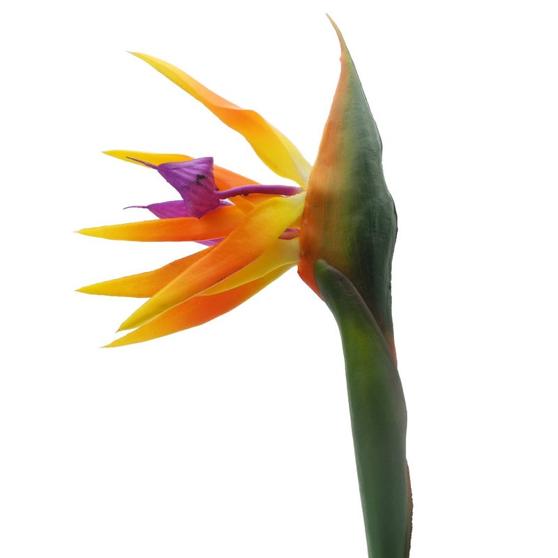 Calcifer 32'' Real Touch Bird of Paradise Artificial Flowers Bouquet for Home Garden Decoration/Wedding Party Decor Orange (Package Quantity: 5 Stems) - Image 4