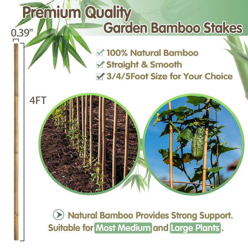 BOVITRO Bamboo Stakes,4FT Natural Bamboo Garden Stakes,BOVITRO 25Pcs Plant Stakes,Bamboo Sticks for Tomato,Beans,Vegetable and Climbing Plants - Image 4