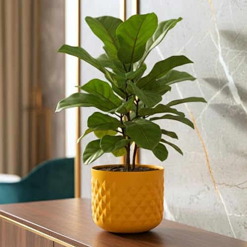 BEHOMA Metal Indoor Planter | Pineapple Texture Modern Plant Pot | Drawing Room Balcony Office Decor for Small Plants | 5.3” (Height) by 5.9” (Dia) | Mango Yellow 1 Pc | (Plant not Included) - Image 1