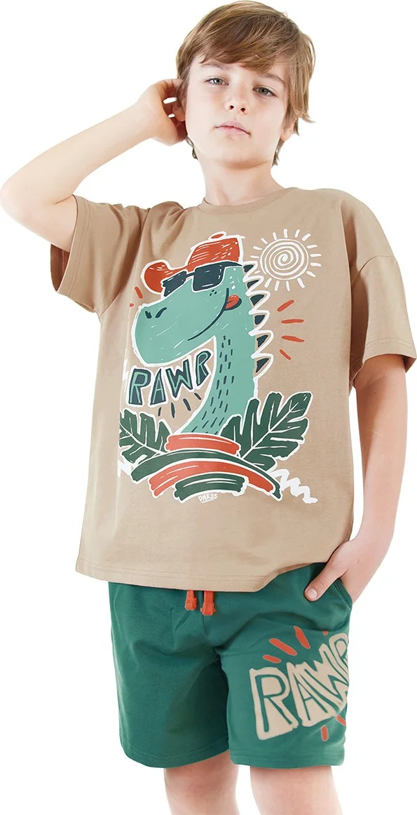 Denokids Summer Dino Boy T-Shirt Shorts Set