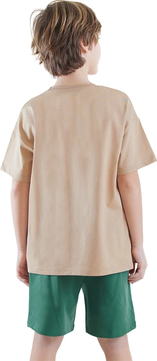 Denokids Summer Dino Boy T-Shirt Shorts Set