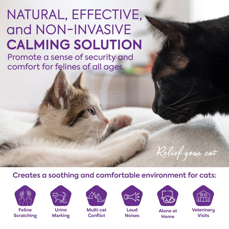 TopSum Cat Calming Diffuser Refills: Pheromone Refill for Cats, Long-Lasting 6-Month Supply, Compatible with Most Diffusers, 6 Pack (Purple) - Image 3