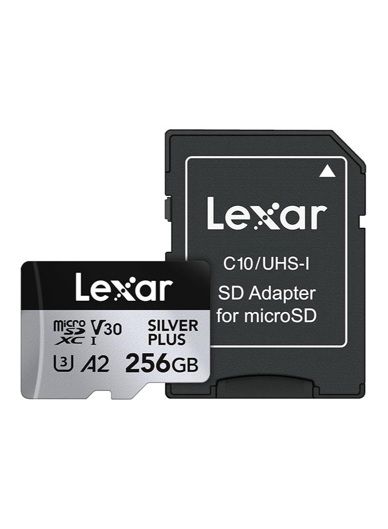 Lexar Professional 1TB Silver Plus MICROSDXC UHS-I CARDS, Up To 205MB/S Read 150MB/S Write C10 V30 U3 (LMSSIPL001T-BNANG) 1 TB - Image 1