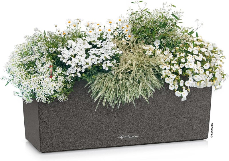 Lechuza 15652 Balconera Cottage 50 Self-Watering Planter for Indoor and Outdoor Use, 20" x 7" x 7", Graphite Black - Image 2
