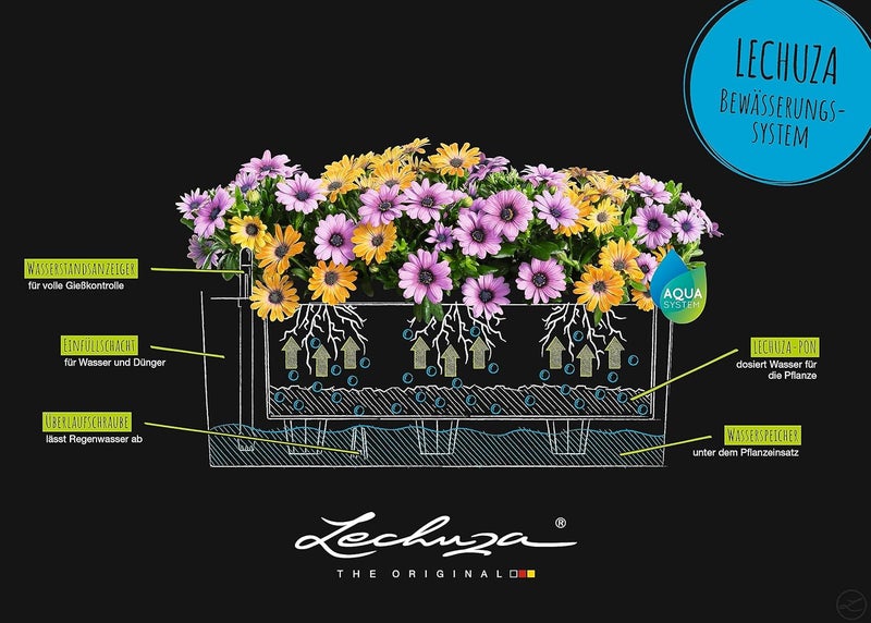 Lechuza 15652 Balconera Cottage 50 Self-Watering Planter for Indoor and Outdoor Use, 20" x 7" x 7", Graphite Black - Image 5
