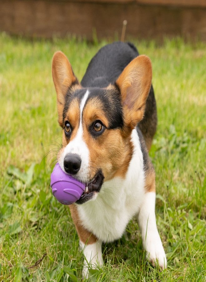 Furhaven 3-Pack 2.5" Squeaky Ball Dog Toys for Small/Medium Dogs, Fits Most Standard Launchers - Fetch 'N Fun TPR Squeaky Ball Toy Set - Space Pack, Set of 3 - Image 3