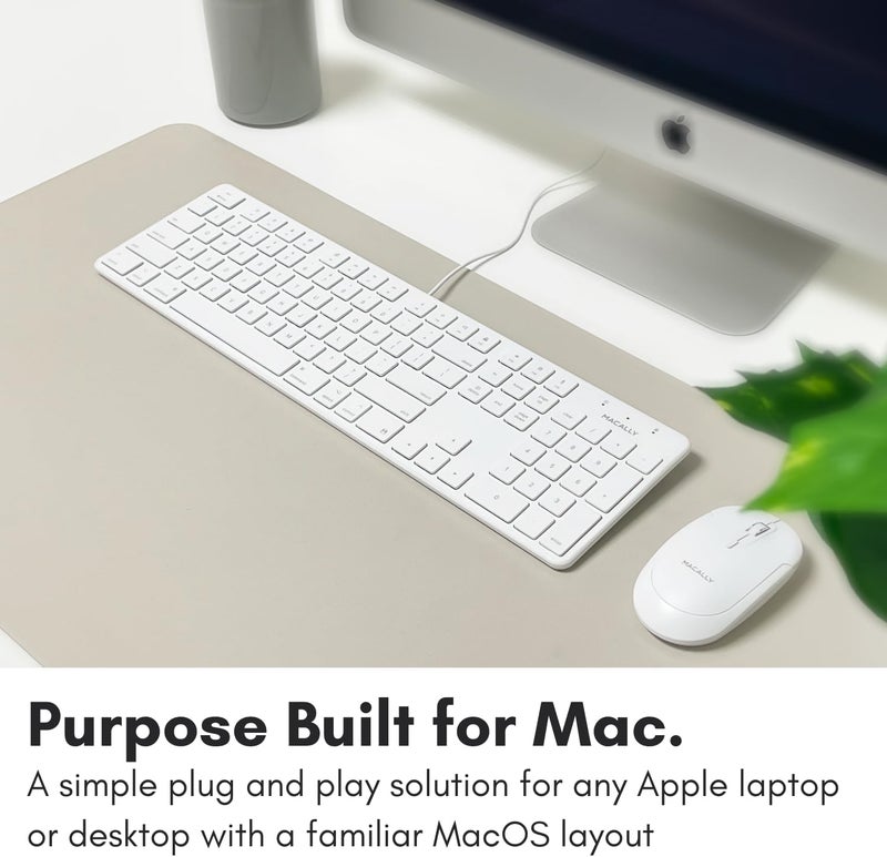 MACALLY Slim USB Wired Keyboard for Mac and Windows PC - Full Size 104 Key Layout & 16 Shortcut Keys - Scissor Keycaps for Smooth Typing - Mac Wired Keyboard with Numeric Keypad - Image 2