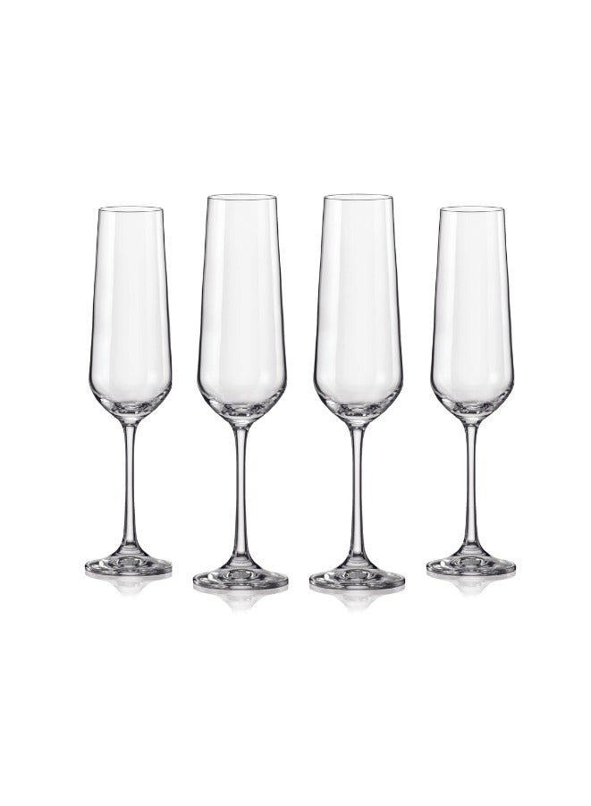 Crystalex Crystalex Champagne Flute Glass Siesta 180ml, Crystalline (Pack of 4) 