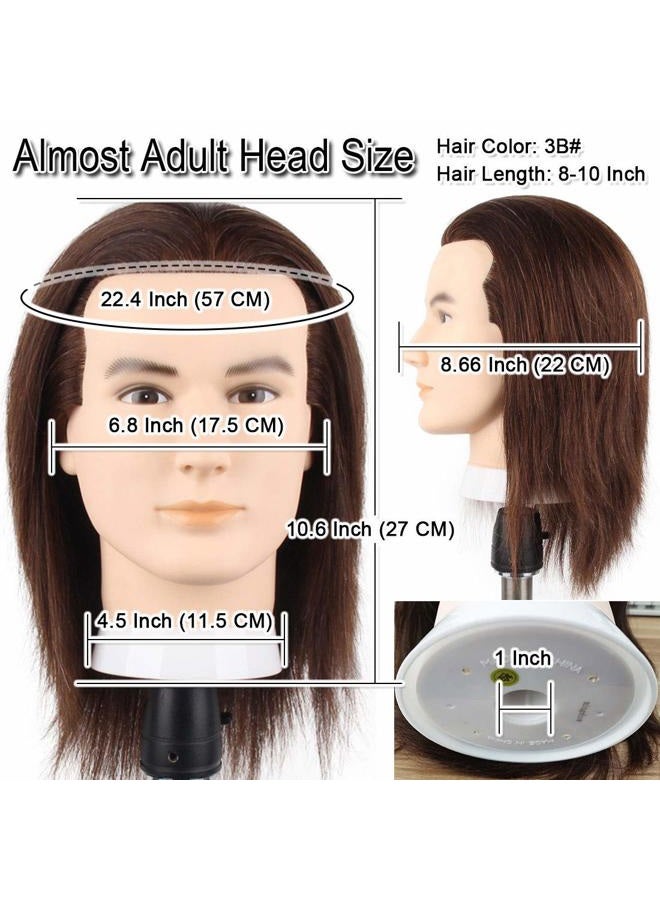 Newshair رأس دمية مانكان للذكور من NEWSHAIR مع شعر بشري 100% رأس تدريب لقص الشعر مع شعر كثيف رأس دمية مصفف شعر رأس للتمشيط والممارسة وجه وسيم حجم رأس بالغ (8-10 بوصة 3B#) - Image 3