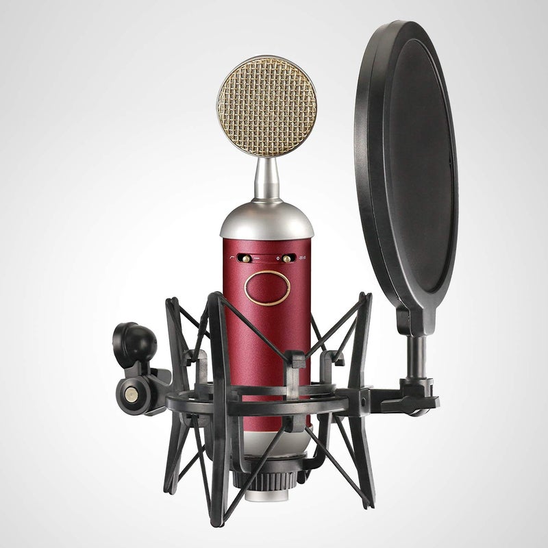 YOUSHARES Blue Spark Shock Mount with Pop Filter, Windscreen and Shockmount to Reduce Vibration Noise Matching Mic Boom Arm for Blue Spark SL Microphone by YOUSHARES - Image 2