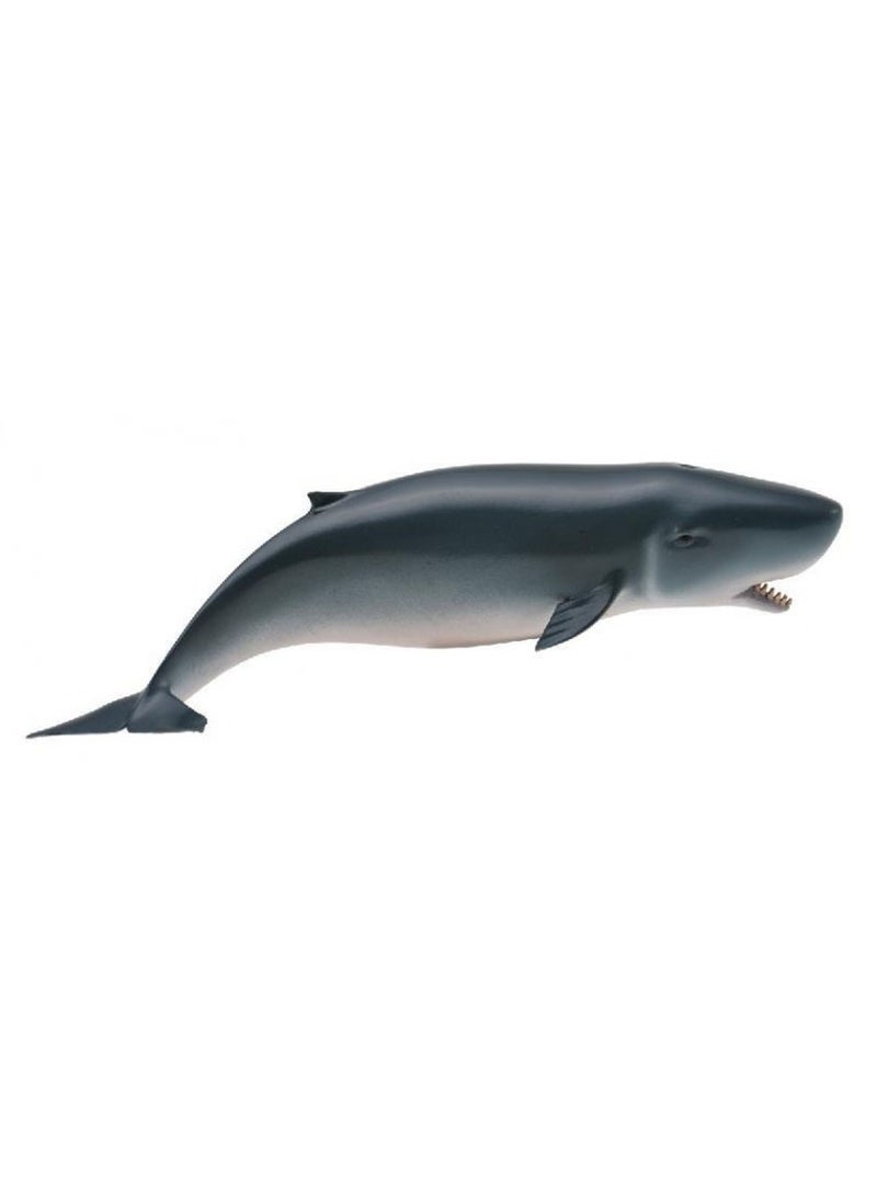Collecta - Pygmy Sperm Whale - 88653