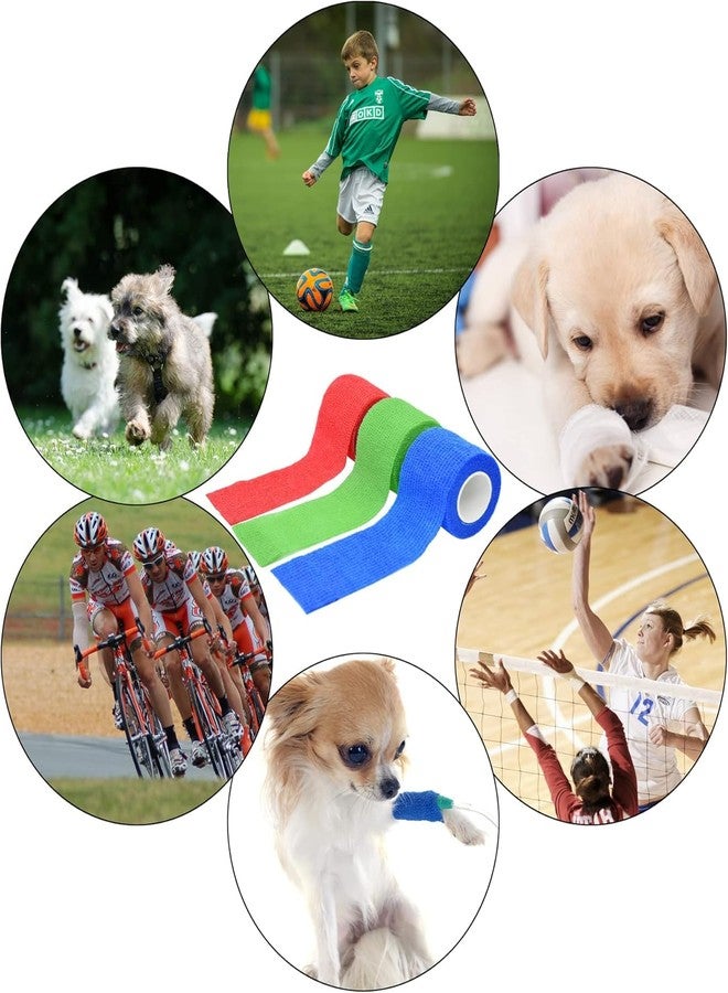 THE DDS STORE Bandage Wrap For Dogs Wound Wrap Self-Adhesive Non-Woven Tape For Legs,Paws,Wounds|Gauze First Aid For Dogs,Cats,Horses,Birds And Guinea Pigs (Multi-Color,2 Rolls) - Image 2