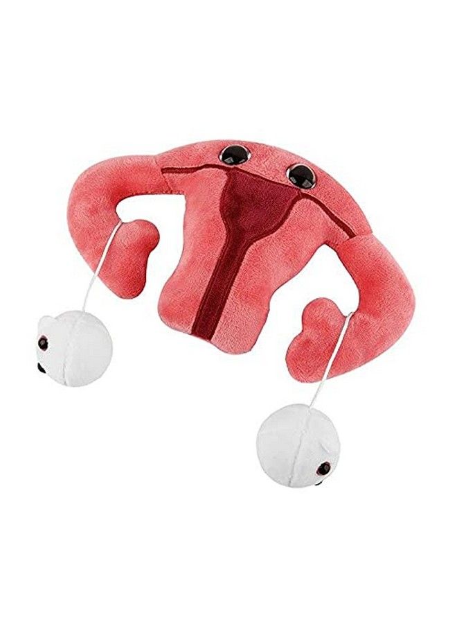 Giant Microbes دميّة رحم عملاقة من Giantmicrobes هدية تعليمية لطيفة مع مبايض قابلة للفصل هدية شفاء/هدية طبية/هدية لأطباء النساء/هدية جراحة/استئصال الرحم/تعليم طبيب النساء/الانتباذ البطاني الرحمي/هدية الخصوبة - Image 5