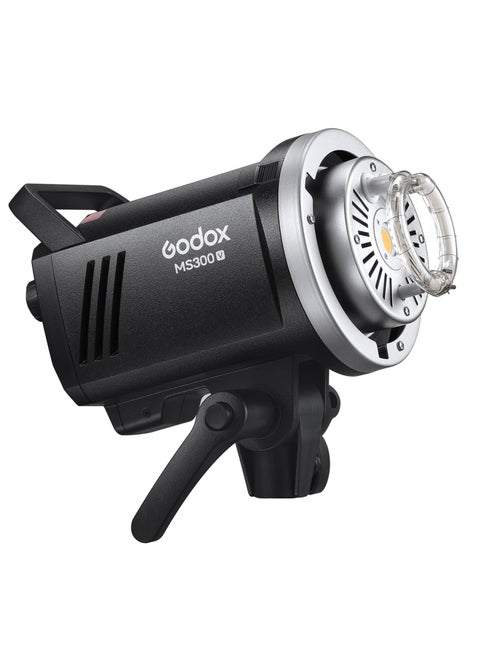 MS300W Portable Studio LED Video Light