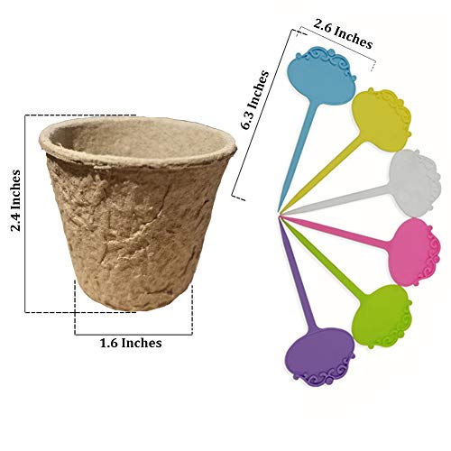 FDGARDEN Biodegradable Peat Pots for seedlings, 100 Pack Plant Seed Starter Pots Kit, 2.36inch Succulent Planter Nursery Pots with 10 Plant Markers, Garden Germination Kits - Image 3