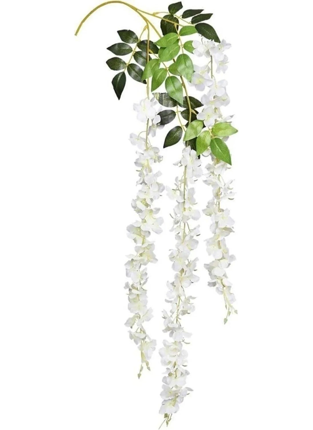 12 Pieces Hanging Acacia Flowers 100 Cm with 3 Branches. Artificial Flower Acacia - pzsku/Z1D68824C339684729CCCZ/45/_/1730729694/2c1fe600-07b6-4715-900d-50f3ee08bc8b