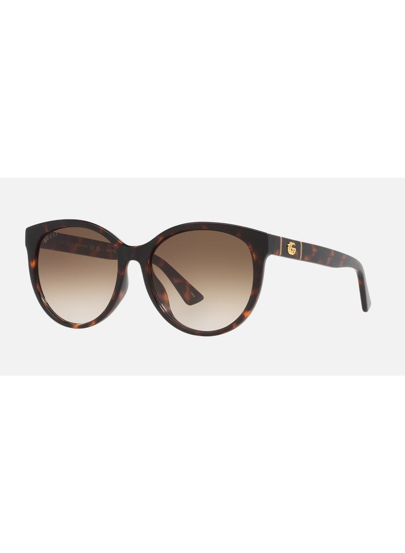 GUCCI sunglass GG0636SK 002 - Image 1