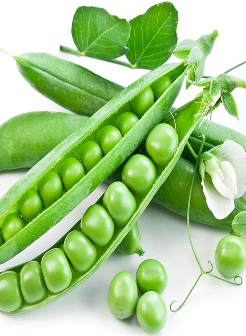 GGOOT 20Pcs Pea Seeds Unique Shape Green Pods Growing Essential Vegetable Crops in The Garden Rapid Growth Suitable for Beginners