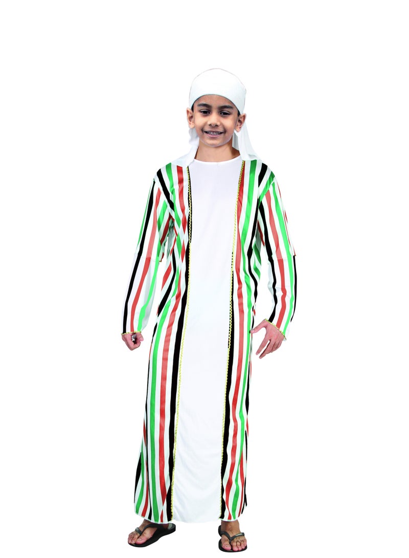 Party Magic UAE National Day Thoebe- Child Large