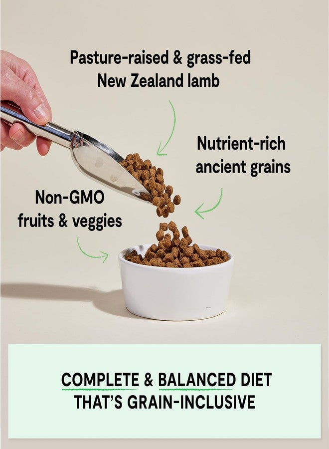 Open Farm أوبن فارم، طعام جاف للكلاب من الحبوب القديمة، غني بالبروتين والعناصر الغذائية، 90% بروتين حيواني ممزوج بفواكه وخضراوات وأطعمة فائقة غير معدلة وراثيًا، وصفة لحم ضأن مُربى في المراعي، كيس 4 أرطال - Image 2