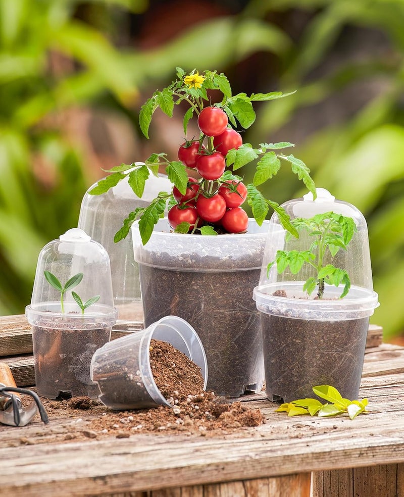 homenote Clear Nursery Pots with Humidity Domes - 4 Inch Plant Pot Set with 10 Plant Labels (30 Pack) - Image 2