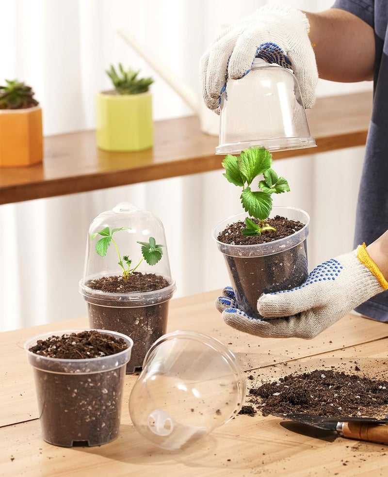 homenote Clear Nursery Pots with Humidity Domes - 4 Inch Plant Pot Set with 10 Plant Labels (30 Pack) - Image 3
