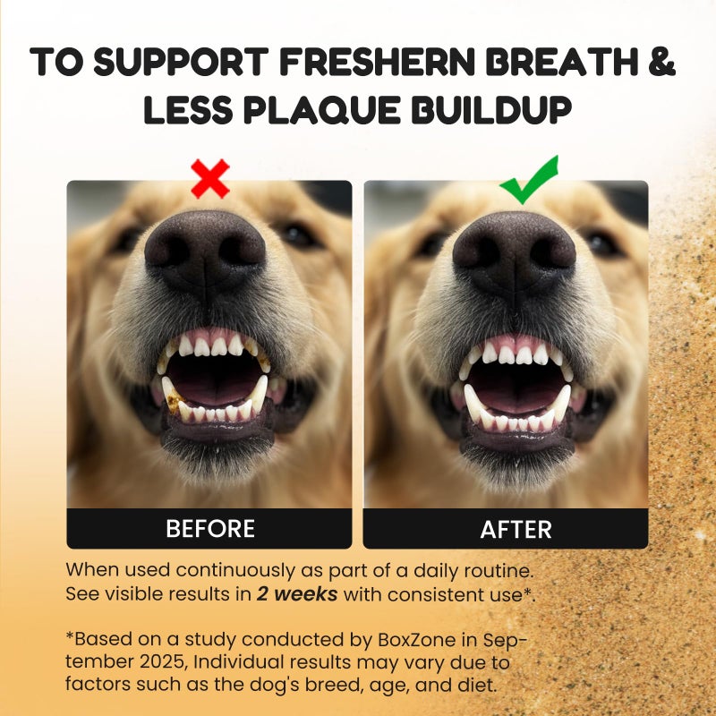 BoxZone Dog Teeth Cleaning Powder - Plaque & Tartar Control, Breath Fresheners with Natural Seaweed, Probiotics, Vitamins, Turmeric & Enzymes for All Dogs & Cats (Chicken Flavor, 75 Scoops) - Image 5