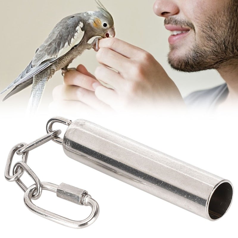 Squirrel Bells Stainless Steel Bells Toys for Birds Large Parrot African Greys MacawsSmall Size - Image 2