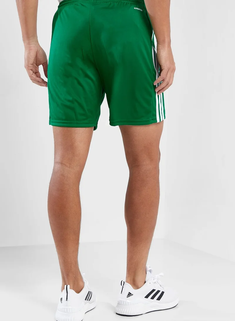 Adidas Squadra 21 Shorts