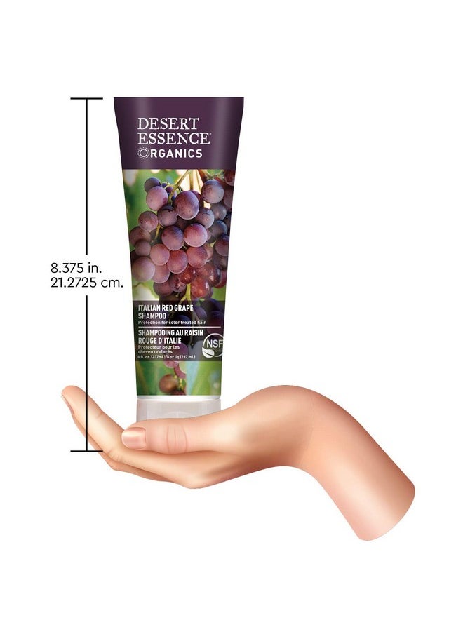 DESERT ESSENCE - Organics Italian Red Grape Shampoo 8 Fl Oz Pack Of 3 Protection For Color Treated Hair Antioxidants Healthier & Smoother Vitamin B5 Sugar & Coconut Oil Cleansers - Image 1