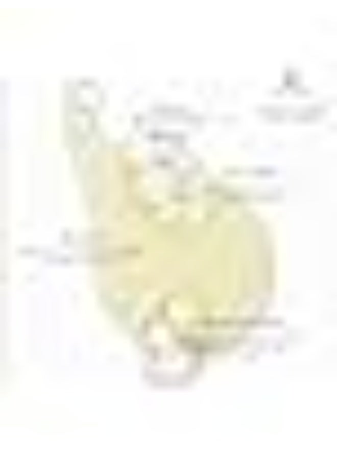 Alterna Caviar Anti-Aging Clinical Densifying Shampoo 250ml - Image 2