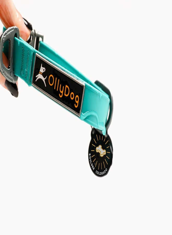 OllyDog طوق OllyDog Tilden، طوق مقاوم للماء للكلاب مع مشبك سريع الفتح، حزام منسوج مقاوم للروائح، طوق خفيف الوزن للكلاب الكبيرة والمتوسطة والصغيرة (كبير، أزرق مخضر) - Image 3