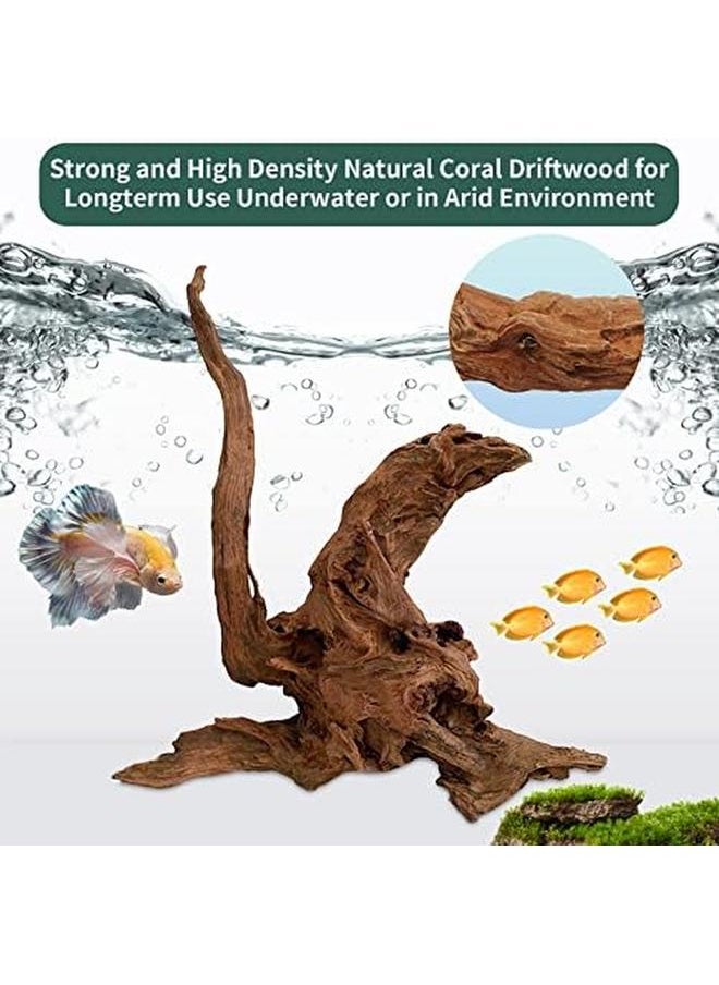 Hamiledyi 5Pcs Driftwood Branches Aquarium Wood Decoration Natural Fish Tank Habitat Decor Wood For Lizard Assorted Size Small  - Image 4