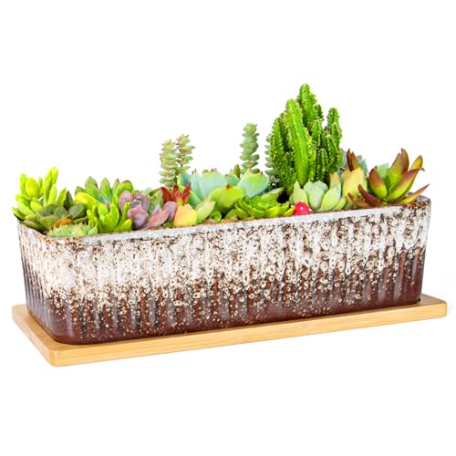 ARTKETTY Succulent Pots - 12 Inch Large Succulent Planters with Drainage Tray, Window Sill Planter, Long Rectangle Ceramic Pots for Indoor Cactus Plants Shallow Bonsai Window Box for Home Garden Decor - Image 1