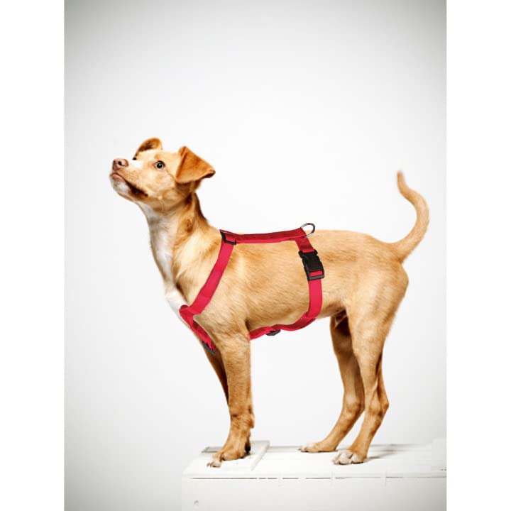 Trixie Classic H-Harness for Dogs | Made Nylon, Lightweight and Fully Adjustable Straps | Great Alternative to a Collar and Lead When Walking Your Pet – (40-65 cm/15 mm, S-M) Red - Image 2