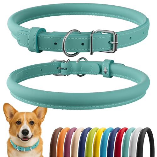 CollarDirect Rolled Leather Dog Collar, Soft Padded Round Puppy Collar, Handmade Genuine Leather Collar Dog Small Large Cat Collars 13 Colors (13-16 Inch, Mint Green Smooth) - Image 1