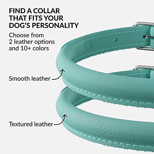 CollarDirect Rolled Leather Dog Collar, Soft Padded Round Puppy Collar, Handmade Genuine Leather Collar Dog Small Large Cat Collars 13 Colors (13-16 Inch, Mint Green Smooth) - Image 5