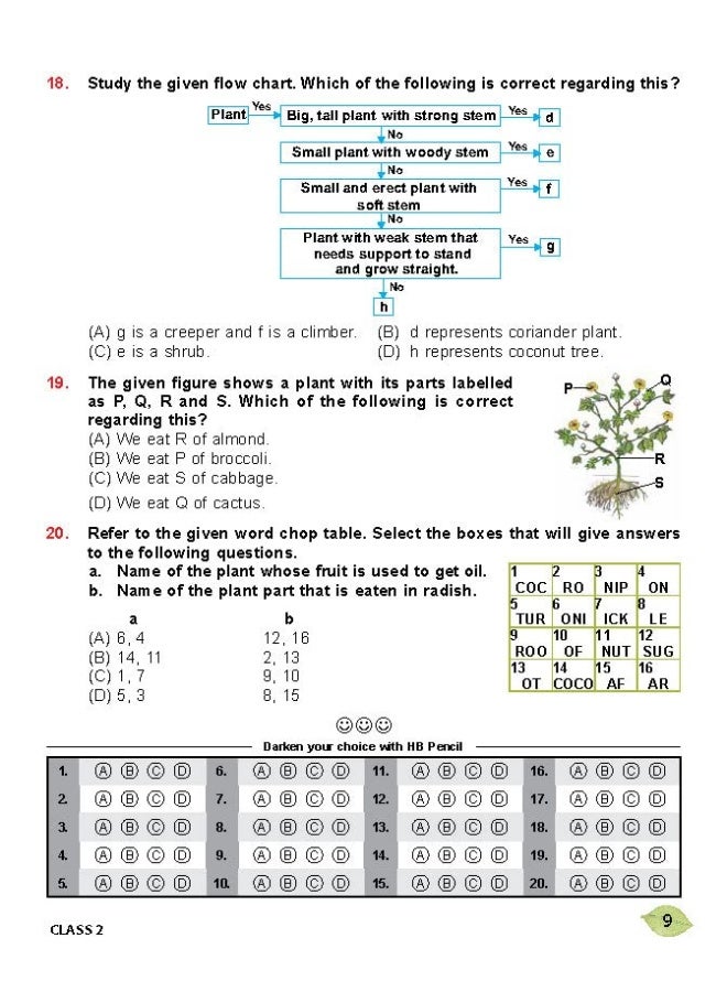 National Science Olympiad (NSO) Work Book for Class 2 - Quick Recap, MCQs, Previous Years Solved Paper and Achievers Section - Olympiad Books For 2022-2023 Exam  - Image 1