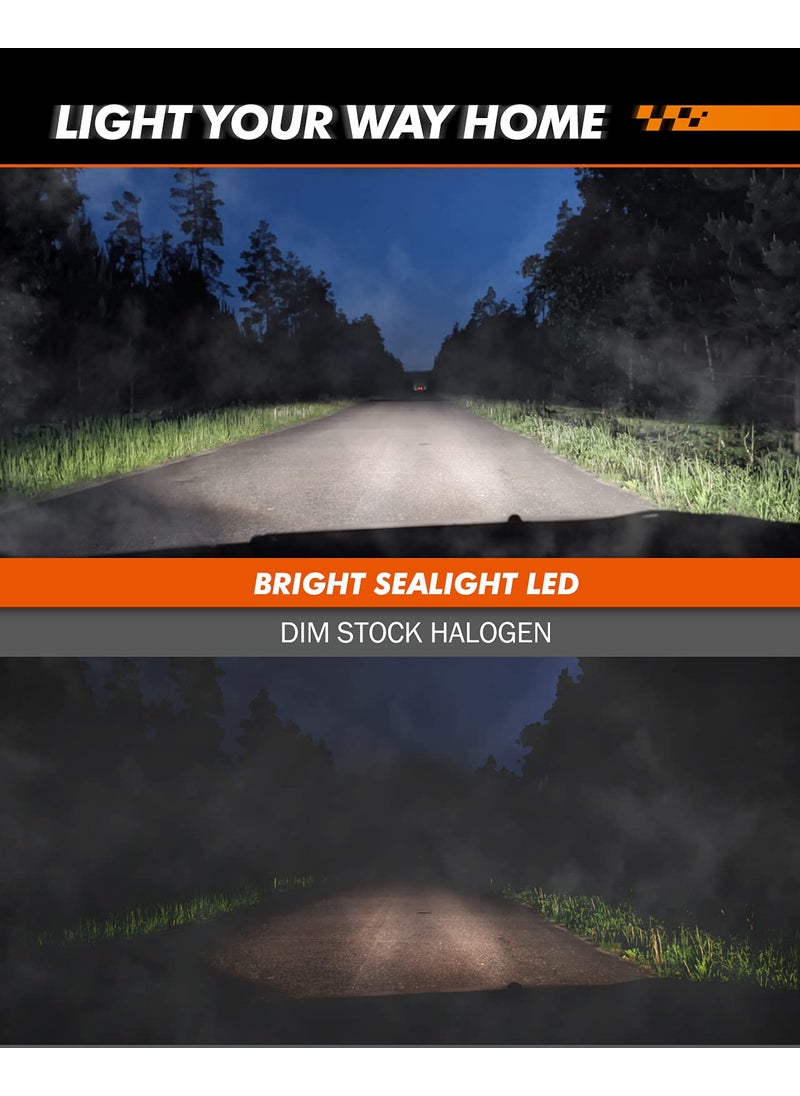 SEALIGHT SEALIGHT H11 H16 LED Fog Light Bulb, Real 1:1 Mini Size, 6500K Cool White 6000LM H8/H16 LED Fog Lights LED for Cars,Trucks,SUV, 400% Brightness with Strong Penetration, 3 Mins Plug-N-Play, Pack of 2  - Image 2