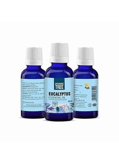 Speaking Tree Eucalyptus Essential Oil (30Ml) With Roller 100% Pure, Natural And Undiluted  - Image 3