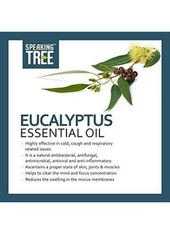 Speaking Tree Eucalyptus Essential Oil (30Ml) With Roller 100% Pure, Natural And Undiluted  - Image 4