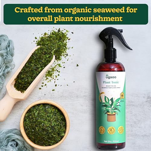UGAOO Plant Tonic Seaweed Liquid Fertilizer Spray 500 ml | Ready-to-Use Seaweed Extract | Organic Liquid Fertilizer for Indoor & Home Garden Use | Seaweed Fertilizer for Healthy Growth - Image 2