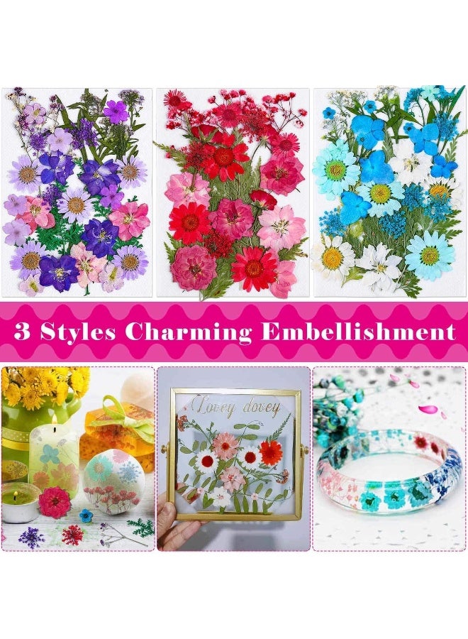 Thrilez Pressed Dried Flowers For Resin,  101Pieces Natural Dried Flower Herbs Kit For Resin Jewelry Making Soap And Candle Making (Blue, Purple, Red)  - Image 5