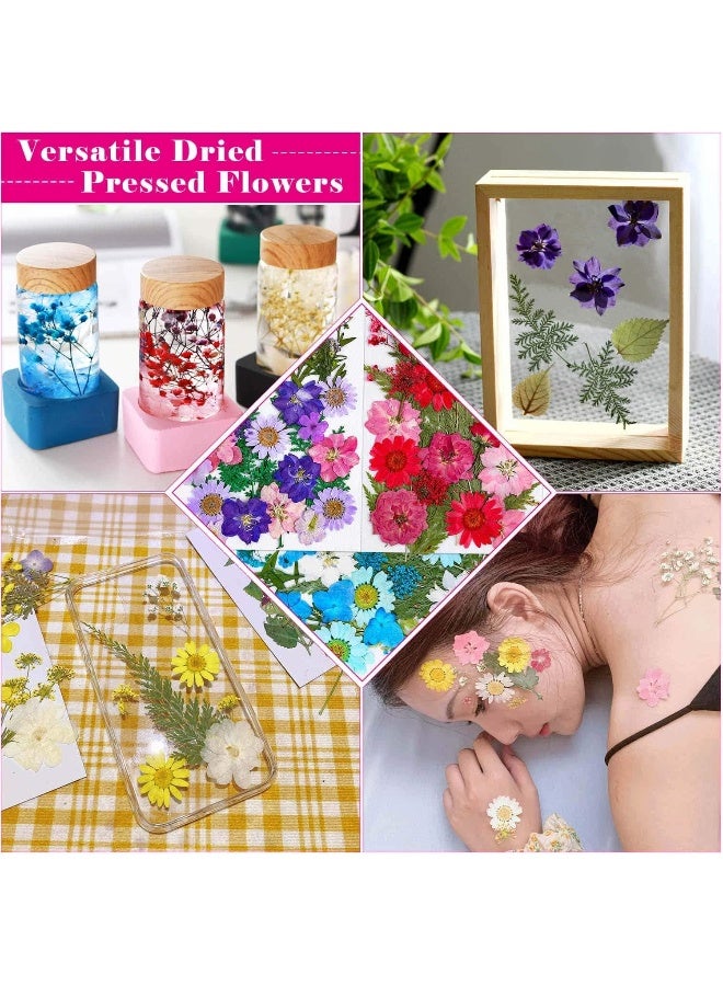 Thrilez Pressed Dried Flowers For Resin,  101Pieces Natural Dried Flower Herbs Kit For Resin Jewelry Making Soap And Candle Making (Blue, Purple, Red)  - Image 4