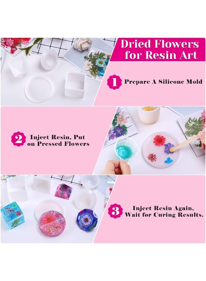 Thrilez Pressed Dried Flowers For Resin,  101Pieces Natural Dried Flower Herbs Kit For Resin Jewelry Making Soap And Candle Making (Blue, Purple, Red)  - Image 3