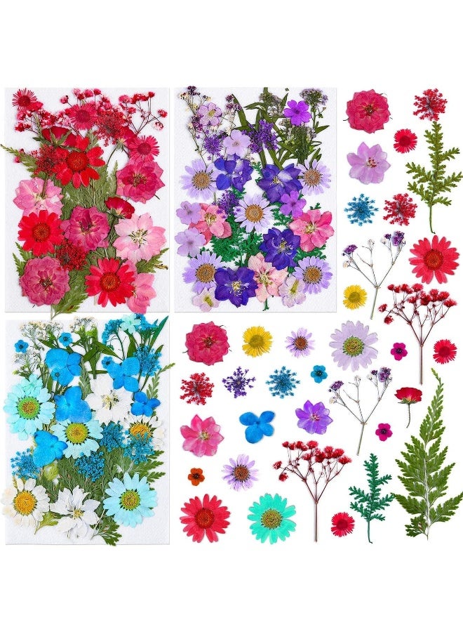 Thrilez Pressed Dried Flowers For Resin,  101Pieces Natural Dried Flower Herbs Kit For Resin Jewelry Making Soap And Candle Making (Blue, Purple, Red)  - Image 2