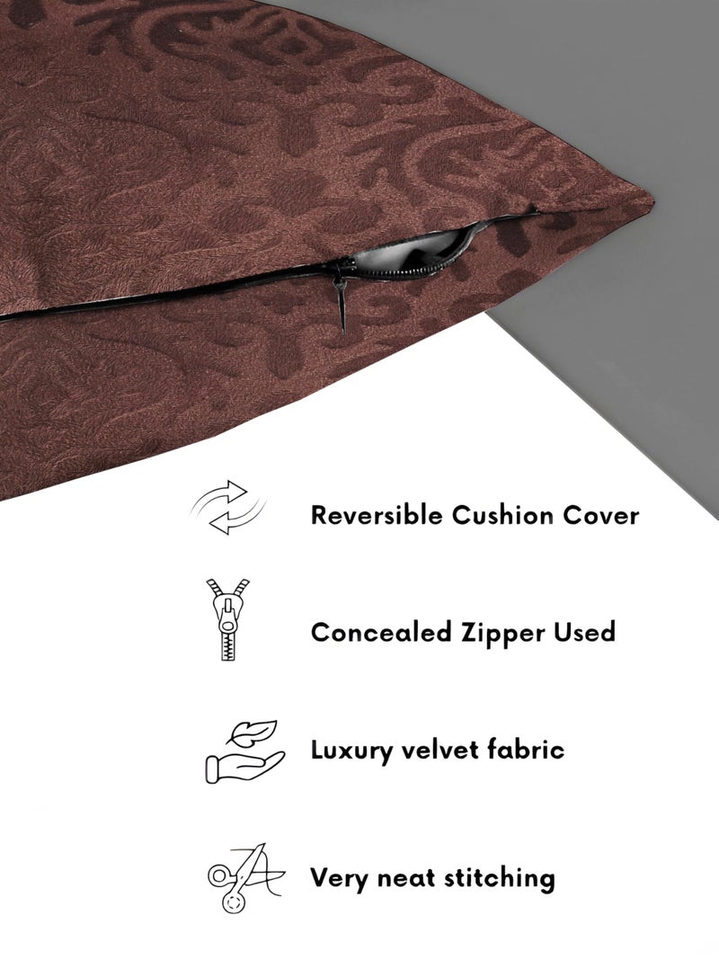 STARNSTYLE Velvet Decorative Cushion Cover 24x24 Inch - Set of 3, Soft Solid Damask Square Throw Pillow Covers for Sofa, Living Room or Home Decor - 60x60 cm Coffee - Image 4