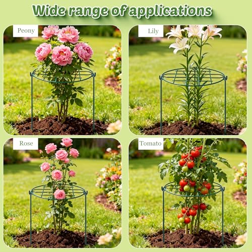 TTQ 8 Pack 12 x 15.7 inch Peony Cages and Supports,Metal Grow Through Plant Supports for Outdoor Plants,Flowers Support Rings Top-Heavy Plant Brace Support Hoop for Vegetables,Rose,Tomato,Orchids - Image 4