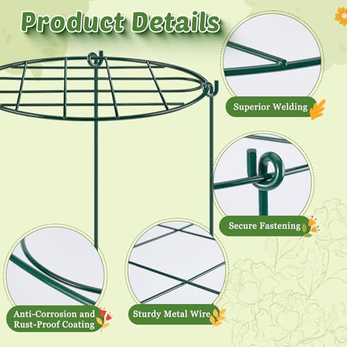 TTQ 8 Pack 12 x 15.7 inch Peony Cages and Supports,Metal Grow Through Plant Supports for Outdoor Plants,Flowers Support Rings Top-Heavy Plant Brace Support Hoop for Vegetables,Rose,Tomato,Orchids - Image 3