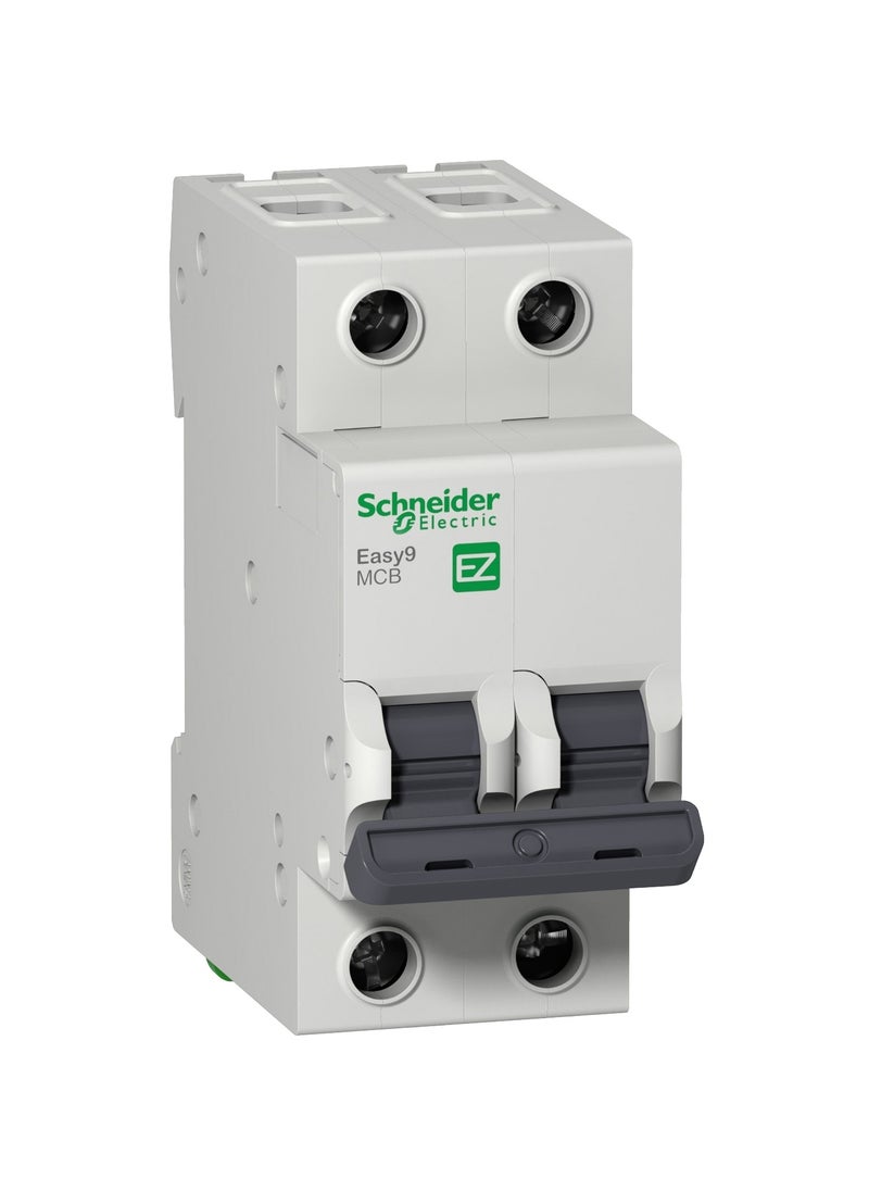 Schneider Electric EZ9F56210 Easy9 miniature circuit breaker  - Image 1